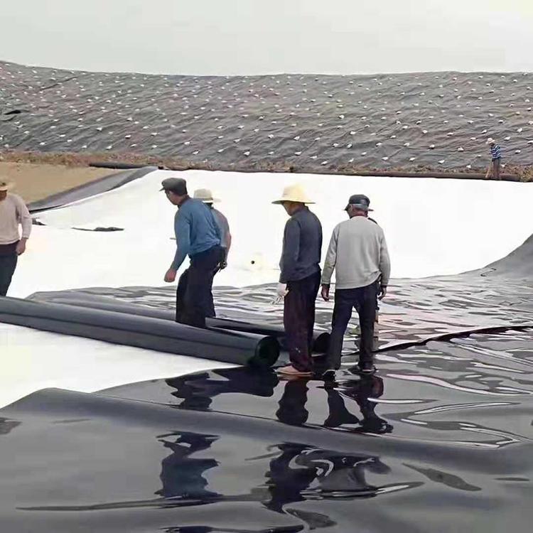 房山河南/四川/河北高密度聚乙烯土工膜生产厂家